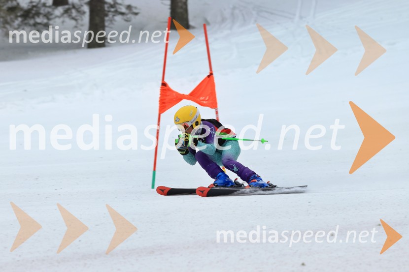 SMUČANJE - SUPER G, U10 in U12, Pokal vzhodne regije, Rogla
