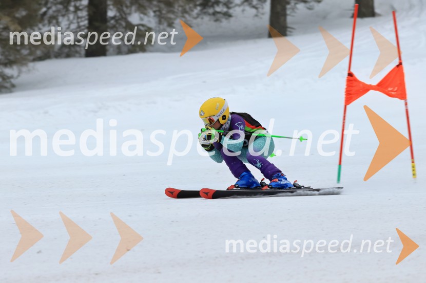 SMUČANJE - SUPER G, U10 in U12, Pokal vzhodne regije, Rogla