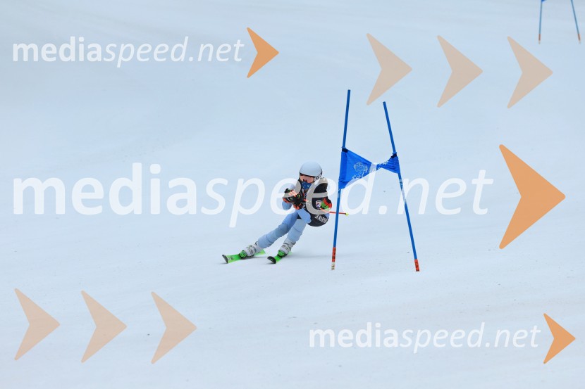 SMUČANJE - SUPER G, U10 in U12, Pokal vzhodne regije, Rogla