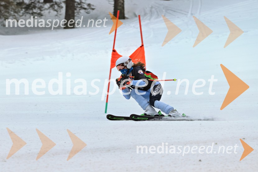SMUČANJE - SUPER G, U10 in U12, Pokal vzhodne regije, Rogla