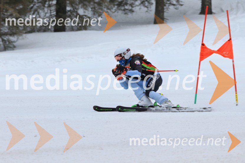 SMUČANJE - SUPER G, U10 in U12, Pokal vzhodne regije, Rogla