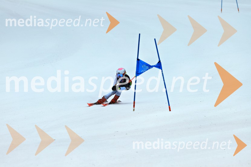 SMUČANJE - SUPER G, U10 in U12, Pokal vzhodne regije, Rogla