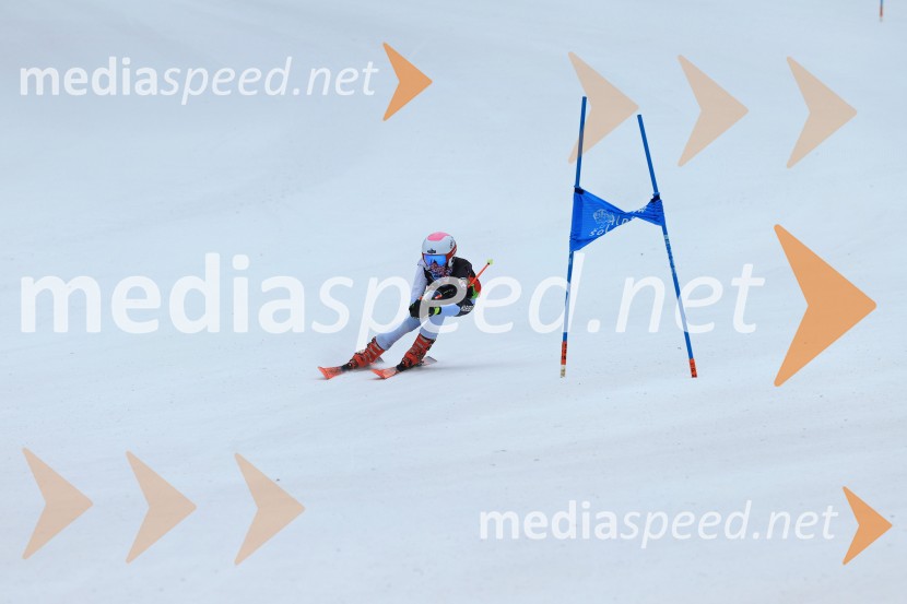 SMUČANJE - SUPER G, U10 in U12, Pokal vzhodne regije, Rogla