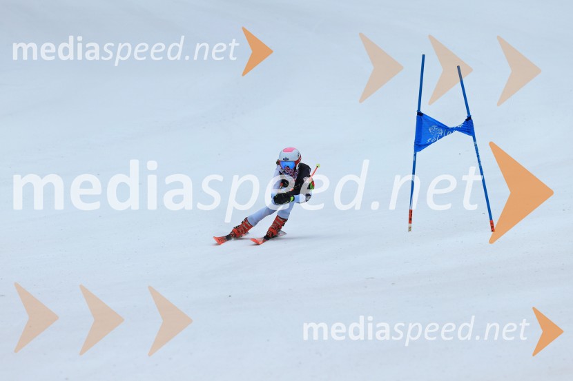 SMUČANJE - SUPER G, U10 in U12, Pokal vzhodne regije, Rogla