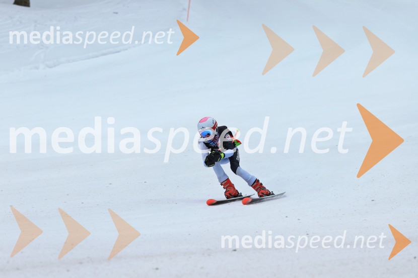 SMUČANJE - SUPER G, U10 in U12, Pokal vzhodne regije, Rogla