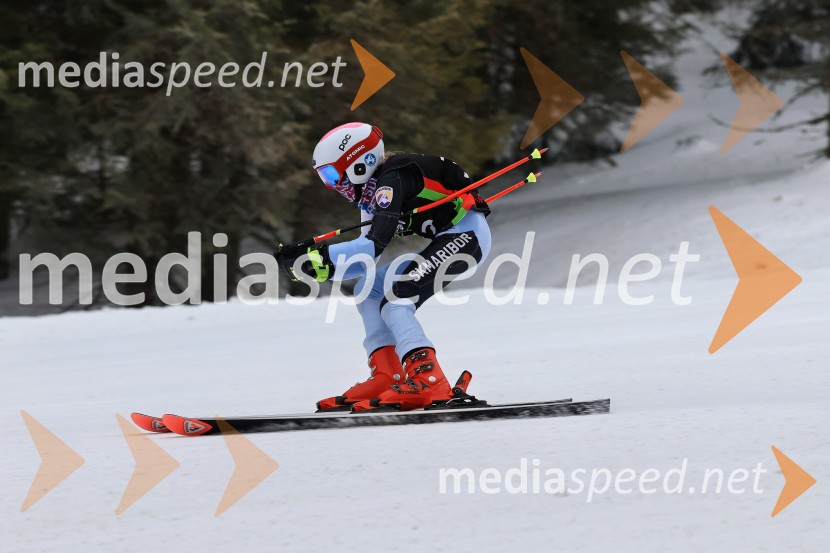 SMUČANJE - SUPER G, U10 in U12, Pokal vzhodne regije, Rogla