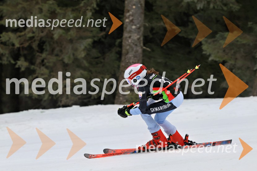 SMUČANJE - SUPER G, U10 in U12, Pokal vzhodne regije, Rogla