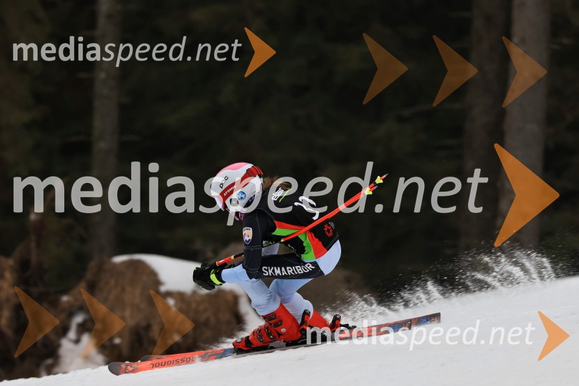 SMUČANJE - SUPER G, U10 in U12, Pokal vzhodne regije, Rogla