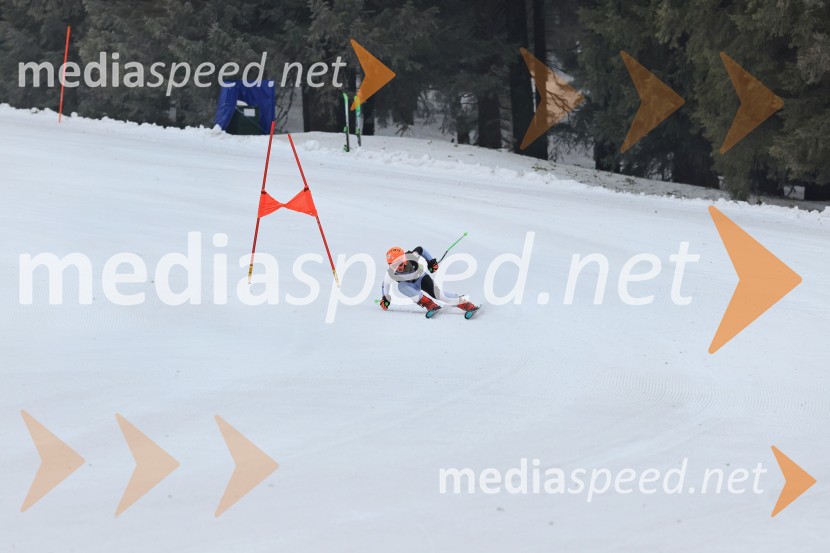 SMUČANJE - SUPER G, U10 in U12, Pokal vzhodne regije, Rogla