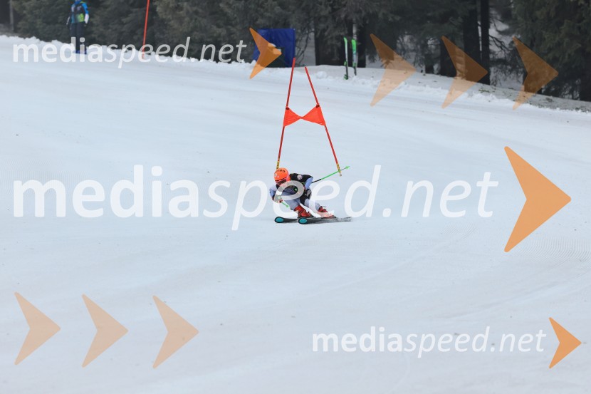 SMUČANJE - SUPER G, U10 in U12, Pokal vzhodne regije, Rogla