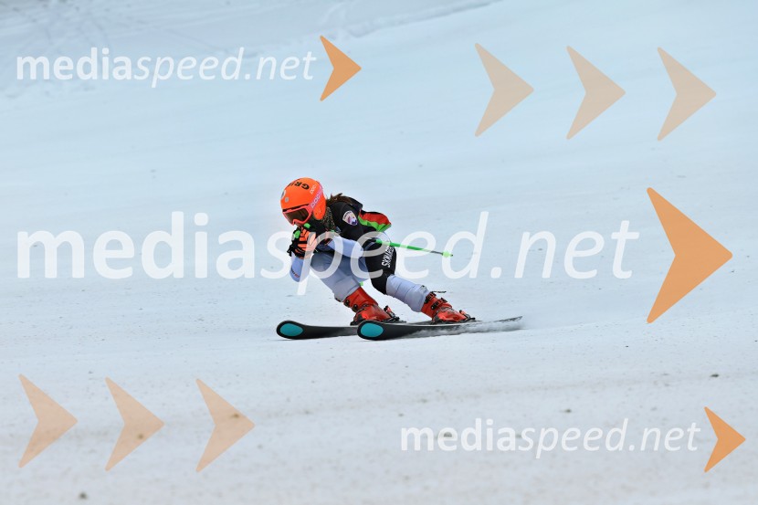 SMUČANJE - SUPER G, U10 in U12, Pokal vzhodne regije, Rogla