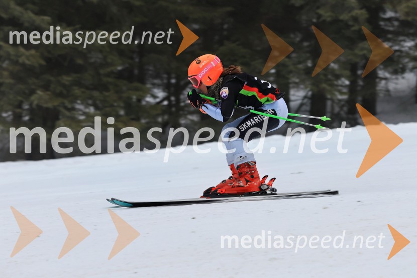 SMUČANJE - SUPER G, U10 in U12, Pokal vzhodne regije, Rogla