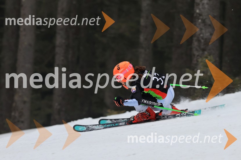 SMUČANJE - SUPER G, U10 in U12, Pokal vzhodne regije, Rogla