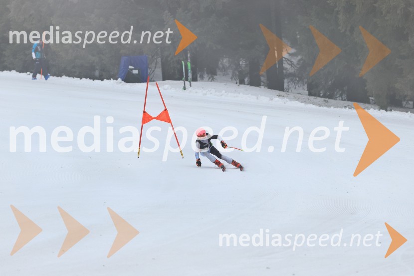 SMUČANJE - SUPER G, U10 in U12, Pokal vzhodne regije, Rogla