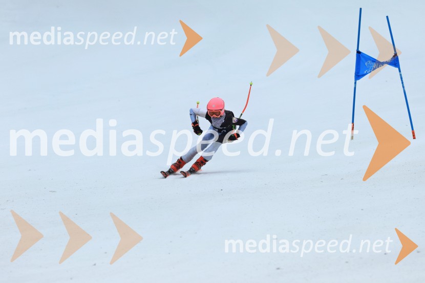 SMUČANJE - SUPER G, U10 in U12, Pokal vzhodne regije, Rogla