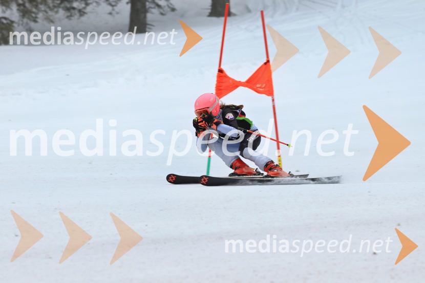 SMUČANJE - SUPER G, U10 in U12, Pokal vzhodne regije, Rogla