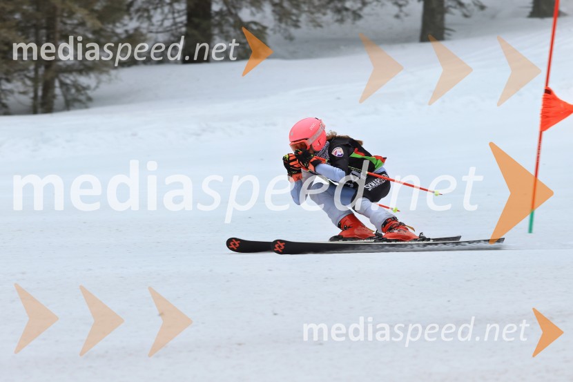 SMUČANJE - SUPER G, U10 in U12, Pokal vzhodne regije, Rogla