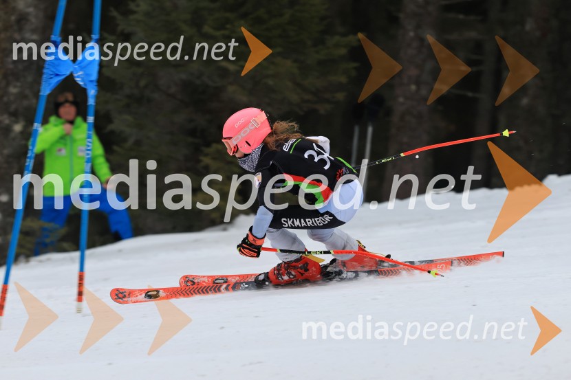 SMUČANJE - SUPER G, U10 in U12, Pokal vzhodne regije, Rogla