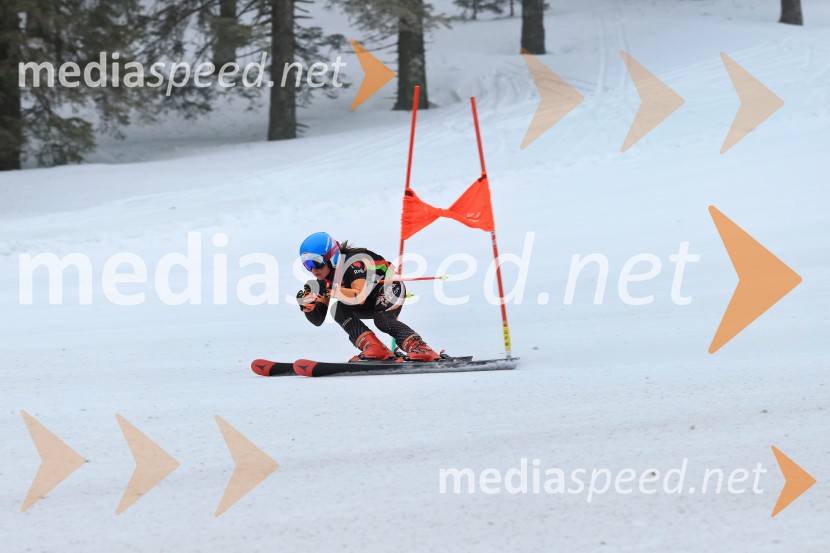 SMUČANJE - SUPER G, U10 in U12, Pokal vzhodne regije, Rogla