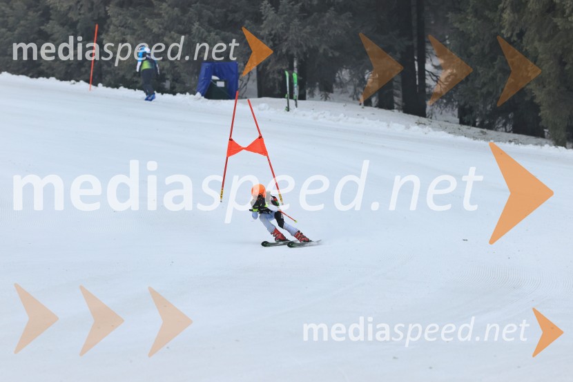 SMUČANJE - SUPER G, U10 in U12, Pokal vzhodne regije, Rogla
