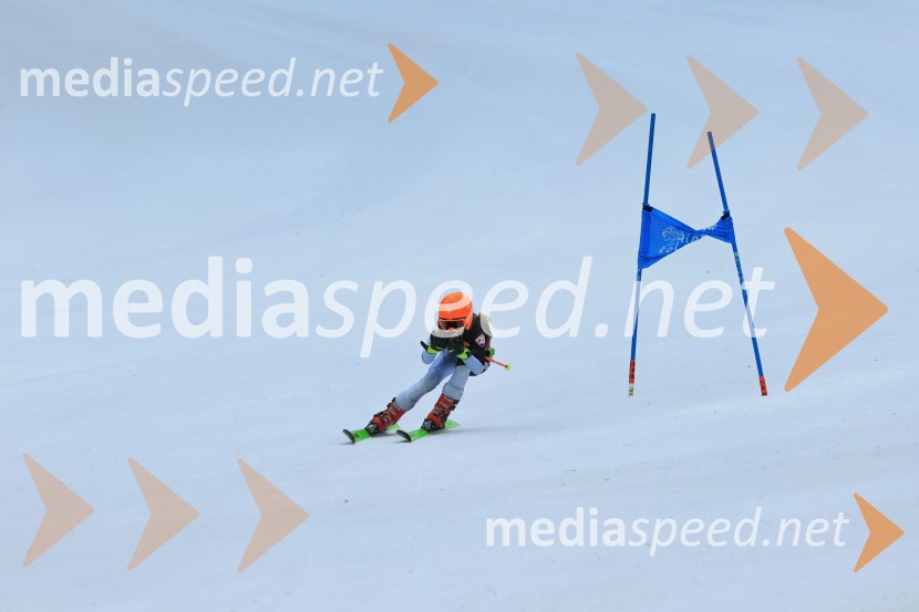 SMUČANJE - SUPER G, U10 in U12, Pokal vzhodne regije, Rogla