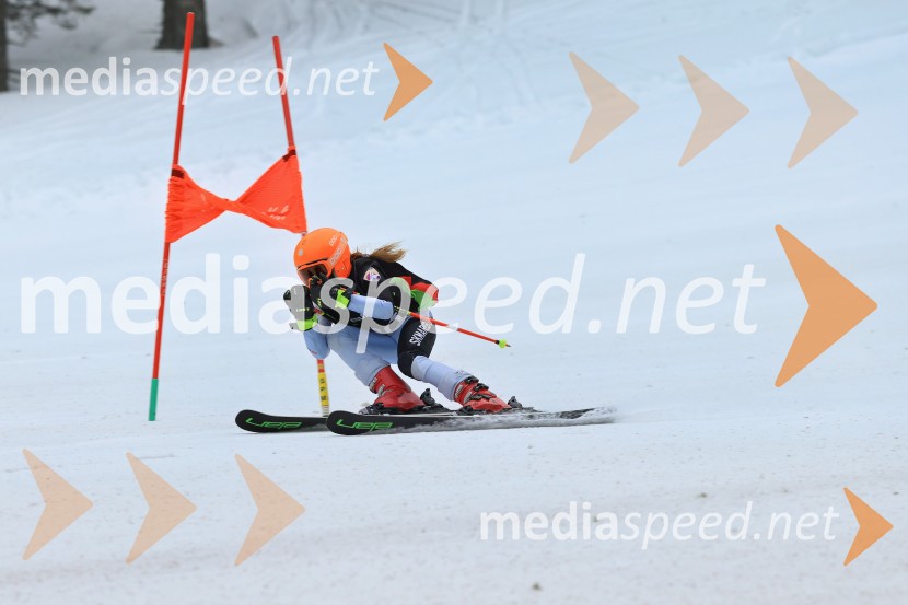 SMUČANJE - SUPER G, U10 in U12, Pokal vzhodne regije, Rogla