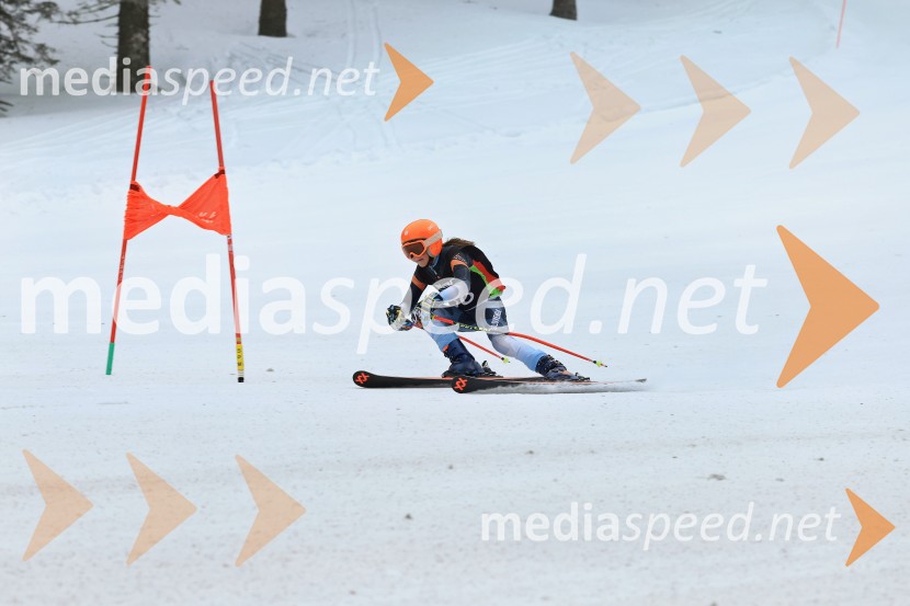 SMUČANJE - SUPER G, U10 in U12, Pokal vzhodne regije, Rogla
