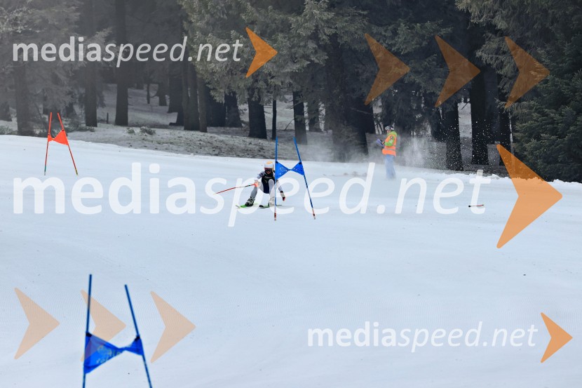 SMUČANJE - SUPER G, U10 in U12, Pokal vzhodne regije, Rogla