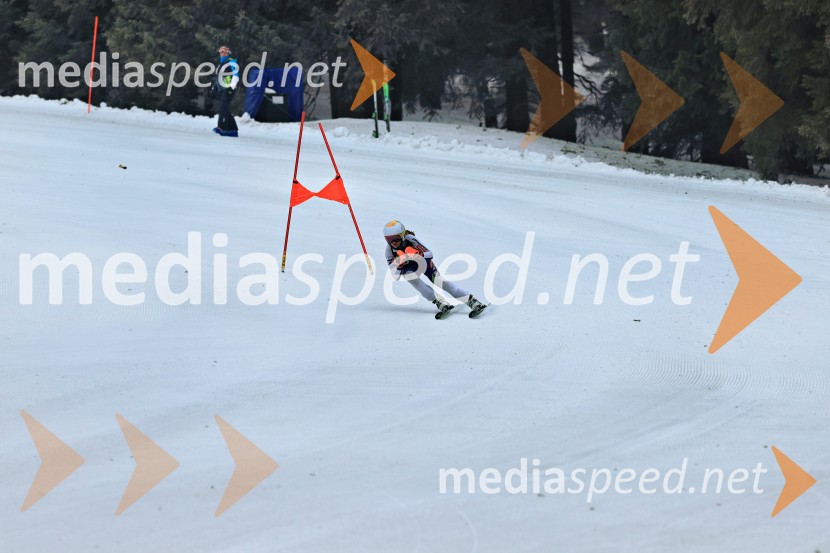 SMUČANJE - SUPER G, U10 in U12, Pokal vzhodne regije, Rogla