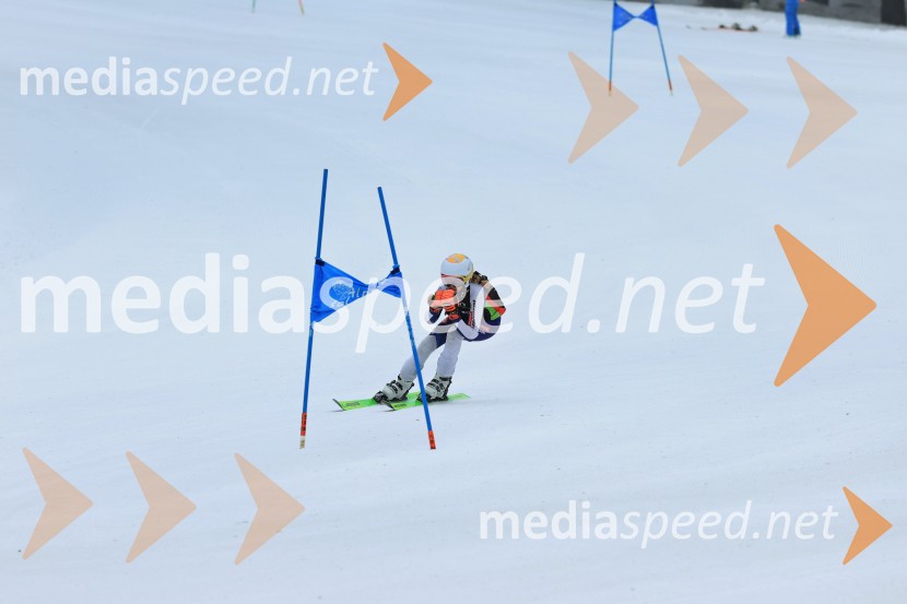 SMUČANJE - SUPER G, U10 in U12, Pokal vzhodne regije, Rogla