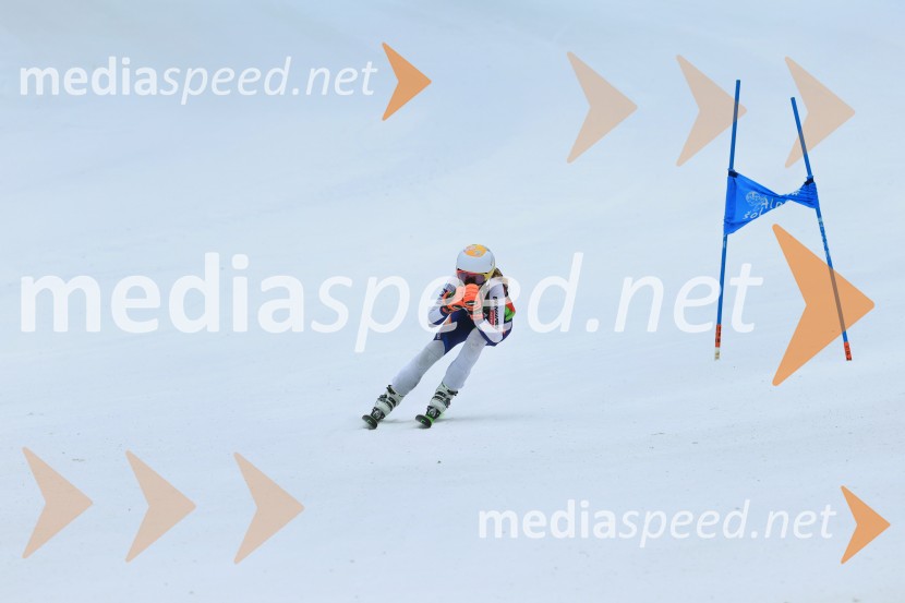 SMUČANJE - SUPER G, U10 in U12, Pokal vzhodne regije, Rogla