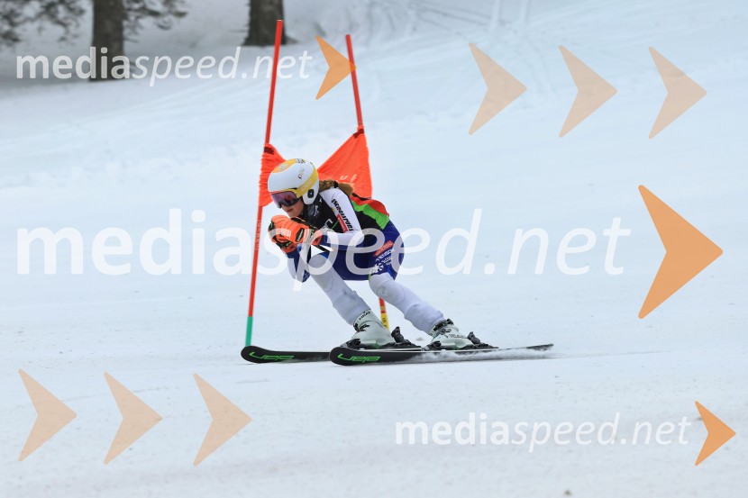 SMUČANJE - SUPER G, U10 in U12, Pokal vzhodne regije, Rogla