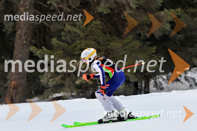 SMUČANJE - SUPER G, U10 in U12, Pokal vzhodne regije, Rogla