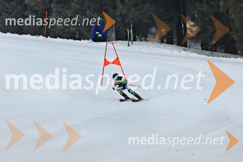 SMUČANJE - SUPER G, U10 in U12, Pokal vzhodne regije, Rogla