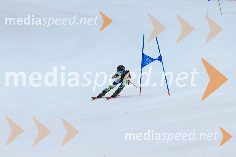 SMUČANJE - SUPER G, U10 in U12, Pokal vzhodne regije, Rogla