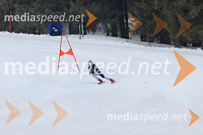 SMUČANJE - SUPER G, U10 in U12, Pokal vzhodne regije, Rogla