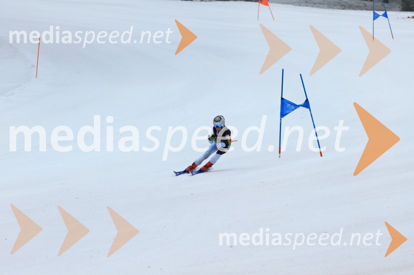 SMUČANJE - SUPER G, U10 in U12, Pokal vzhodne regije, Rogla
