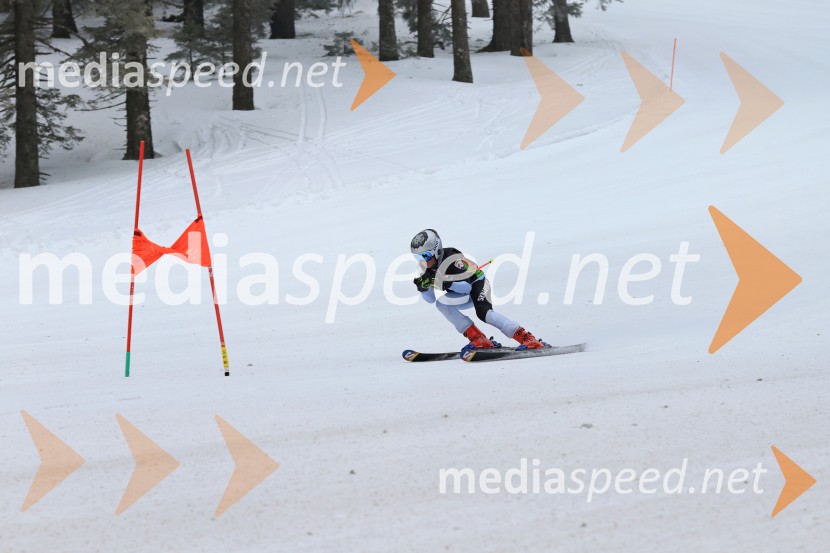 SMUČANJE - SUPER G, U10 in U12, Pokal vzhodne regije, Rogla