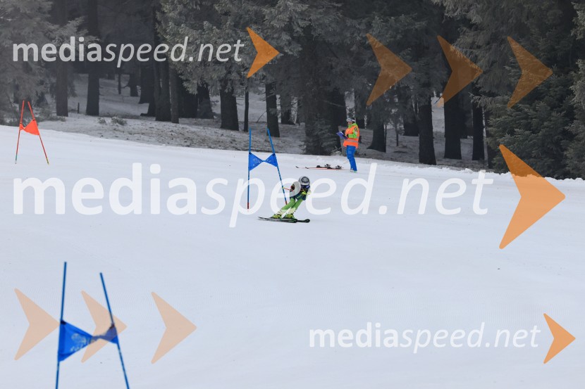 SMUČANJE - SUPER G, U10 in U12, Pokal vzhodne regije, Rogla