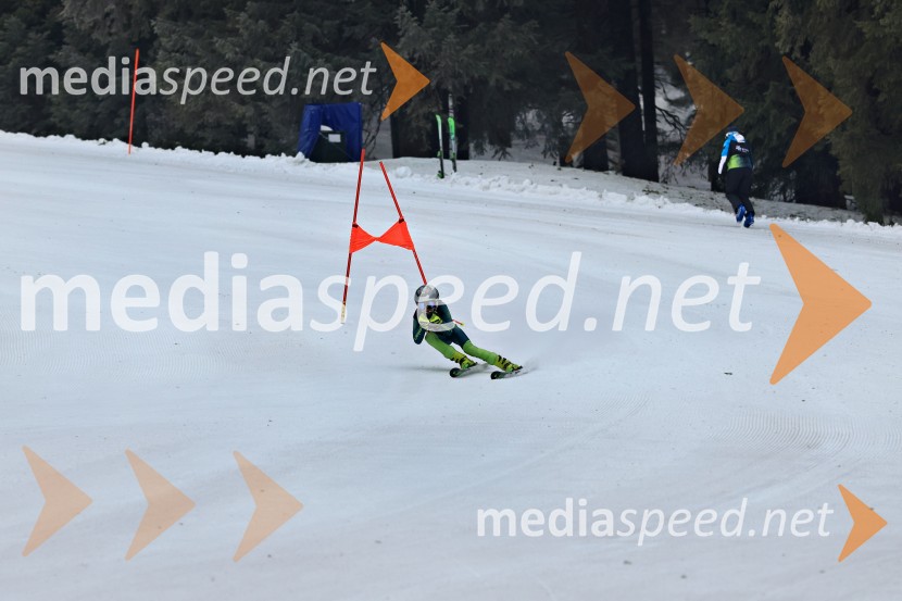 SMUČANJE - SUPER G, U10 in U12, Pokal vzhodne regije, Rogla