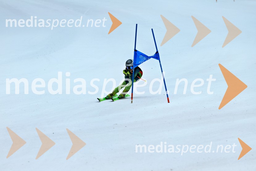 SMUČANJE - SUPER G, U10 in U12, Pokal vzhodne regije, Rogla