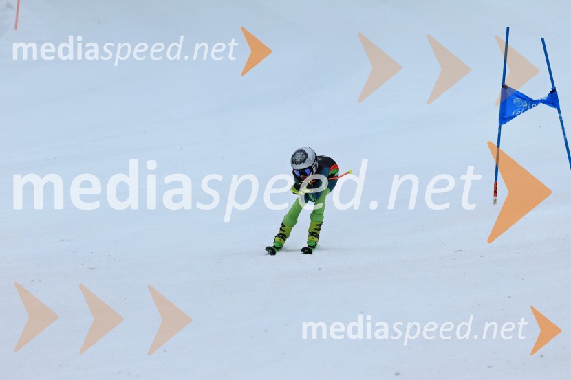 SMUČANJE - SUPER G, U10 in U12, Pokal vzhodne regije, Rogla