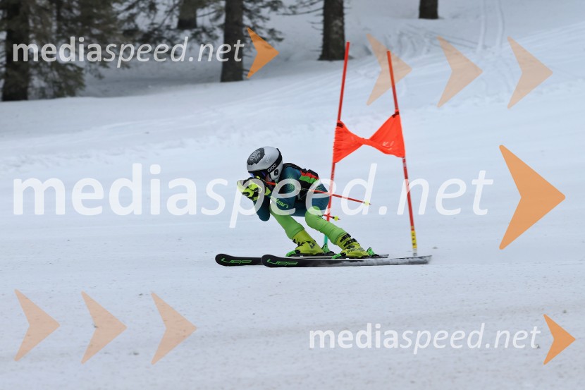 SMUČANJE - SUPER G, U10 in U12, Pokal vzhodne regije, Rogla