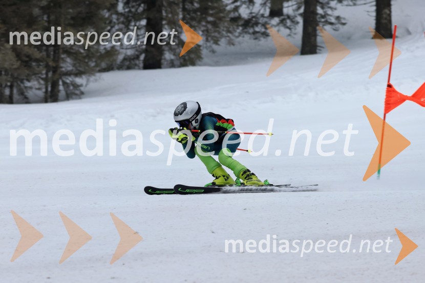 SMUČANJE - SUPER G, U10 in U12, Pokal vzhodne regije, Rogla
