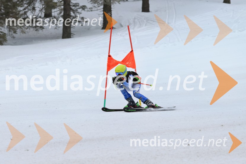 SMUČANJE - SUPER G, U10 in U12, Pokal vzhodne regije, Rogla