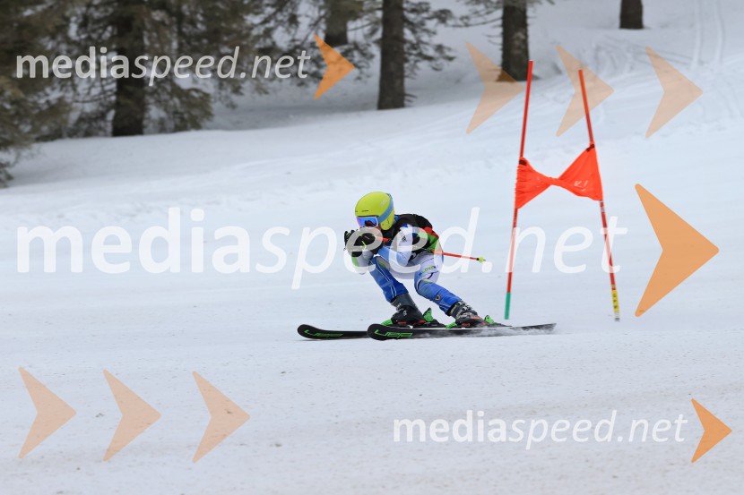 SMUČANJE - SUPER G, U10 in U12, Pokal vzhodne regije, Rogla