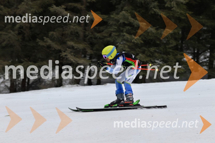 SMUČANJE - SUPER G, U10 in U12, Pokal vzhodne regije, Rogla