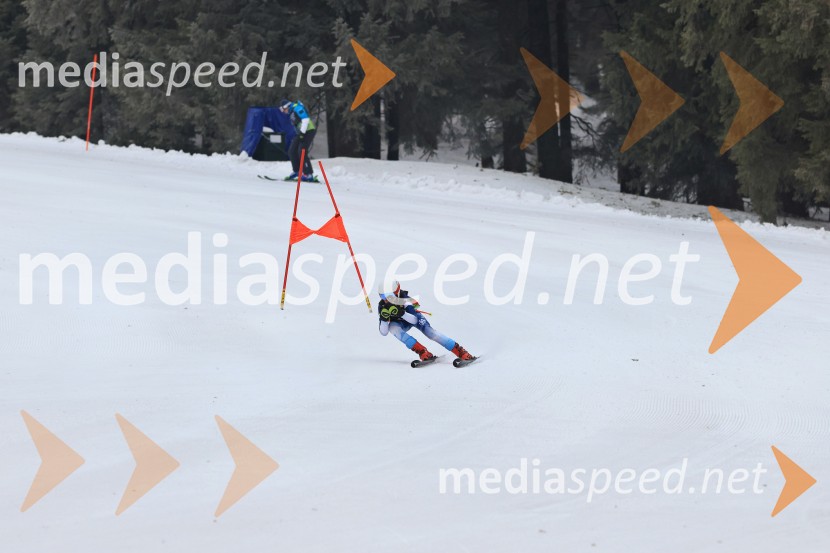 SMUČANJE - SUPER G, U10 in U12, Pokal vzhodne regije, Rogla