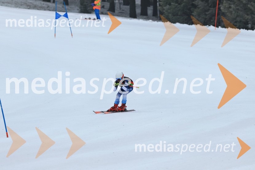 SMUČANJE - SUPER G, U10 in U12, Pokal vzhodne regije, Rogla