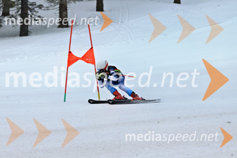 SMUČANJE - SUPER G, U10 in U12, Pokal vzhodne regije, Rogla